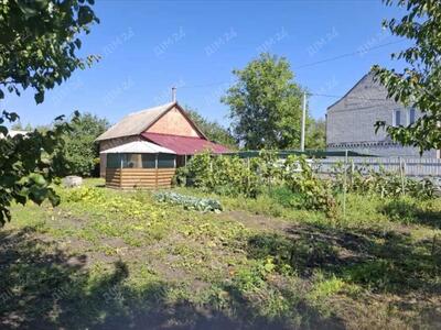 Дача в сосновому лісі!