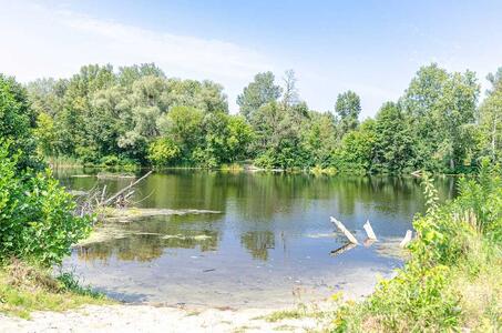 Продається ділянка землі у Тернівщині. Площа 50 соток.