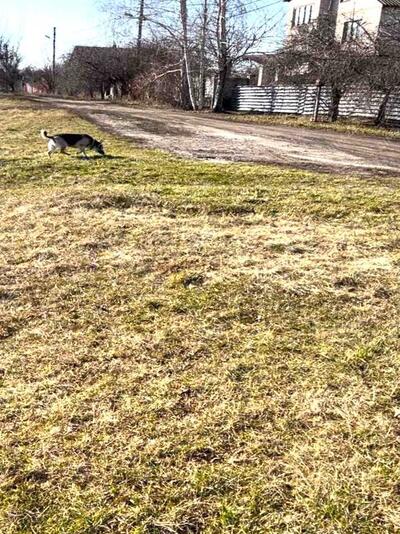 Найкраща ділянка 14 соток в Яру!