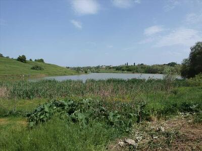 Весна - час будувати будинок!