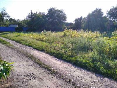 Земельна ділянка під забудову в Рибцях