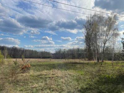 Затурине. Продаж. Земельна ділянка.