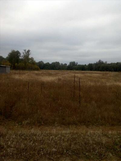 Вакуленці. Подається рівна земельна ділянка