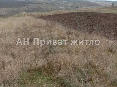 Ділянка під забудову, Жуки.