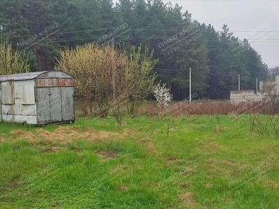 Земельна ділянка з виходом до соснового лісу.