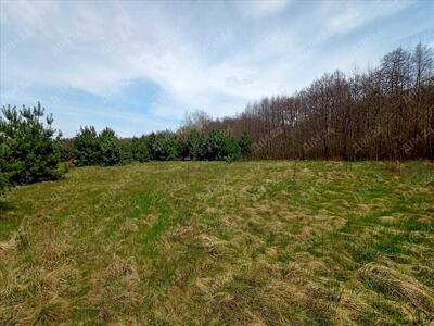 Земельна ділянка в межах міста поряд з лісом!