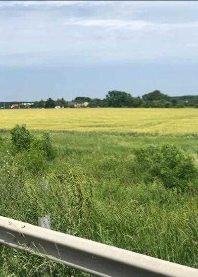 Земельна ділянка 2.8 га вздовж траси Київ-Харків