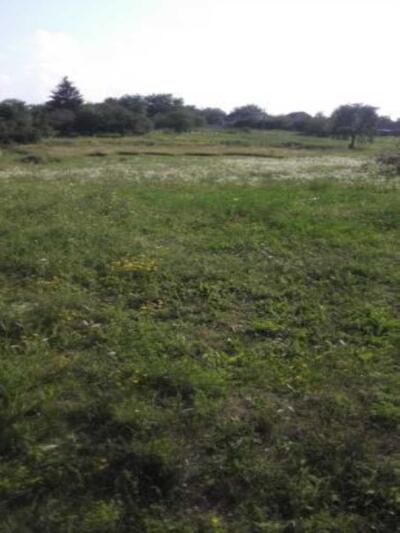 Участок под дом вашей мечты.