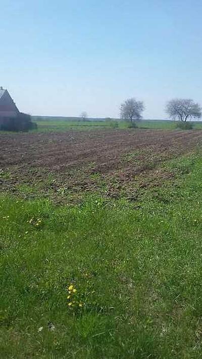 Земельна ділянка в Гожулах