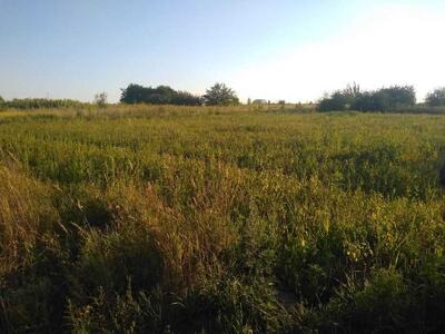 Земельна ділянка в Гожулах