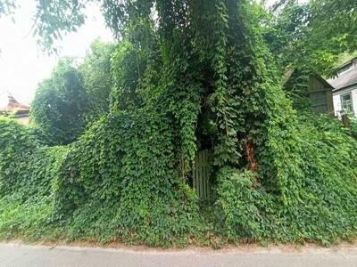 Продається ділянка в екологічно чистому районі міста