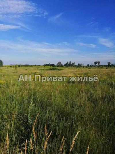 Участок в Верхолах