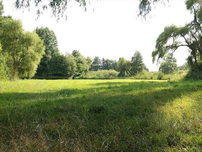 Ділянка в мальовничому місці!