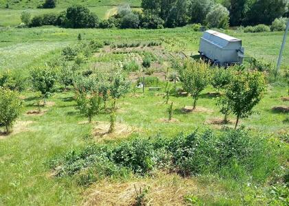 Продам отличный земельный участок в Щербанях