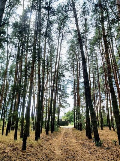 Земельный участок возле водоема для дачного дома.