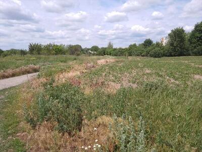 Відмінна ділянка під забудову будинку