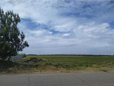 Пропозиція земельної ділянки під забудову заміського будинку