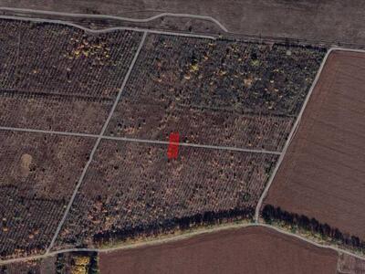 Ділянка в Супрунівці