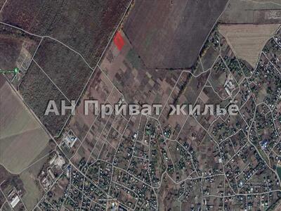 Ділянка 60 соток, Гожули