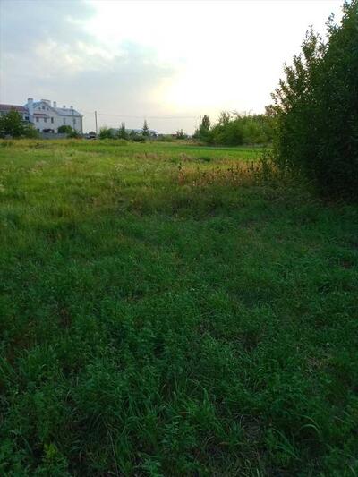 Ділянка для будівництва житлового будинку в с. Супрунівка