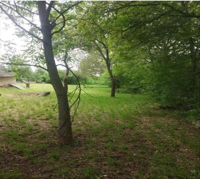 Продається ділянка в Мильцях 17 соток