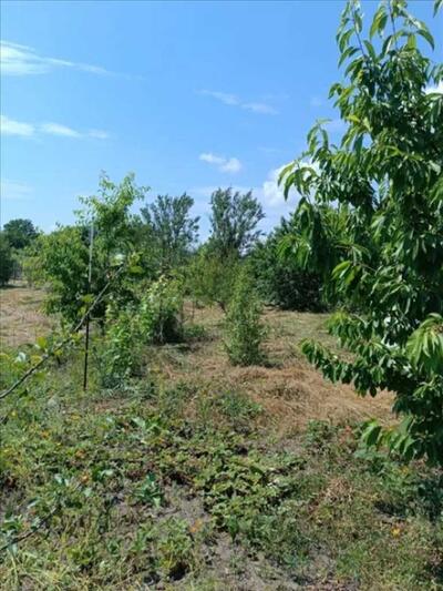 Земельна ділянка 30+25 сотих  в передмісті Полтави