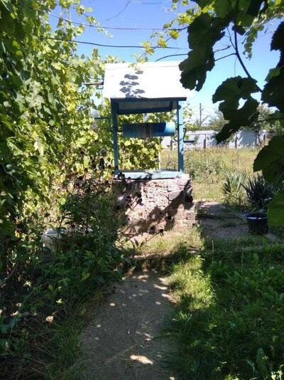 Ділянка в Рибцях!