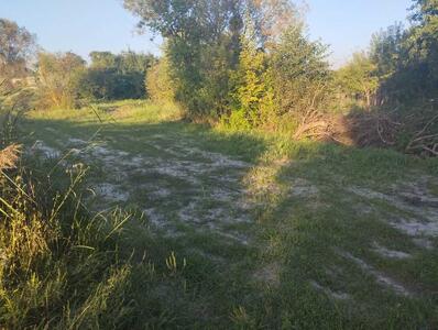 Ділянка з видом на ліс!