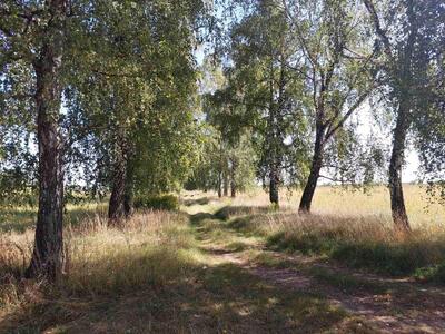 Ділянка під забудову в Тахтаулове