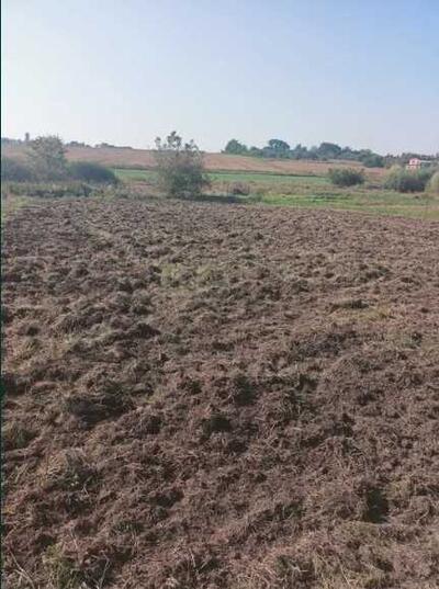 Продаж земельної ділянки с.Рибці