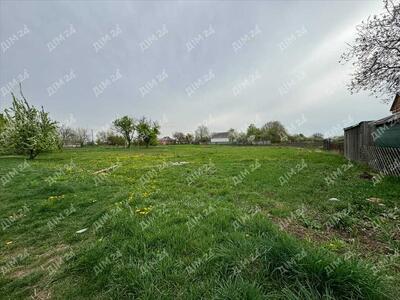 Землі сільськогосподарського призначення в с.Ваці.