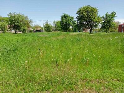 Пропонуємо вашій увазі земельну ділянку  в с. Тахтаулове