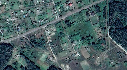 Продаж ділянки поруч із сосновим лісом