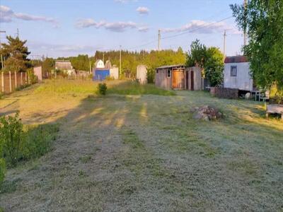 Ділянка в сосновому лісі