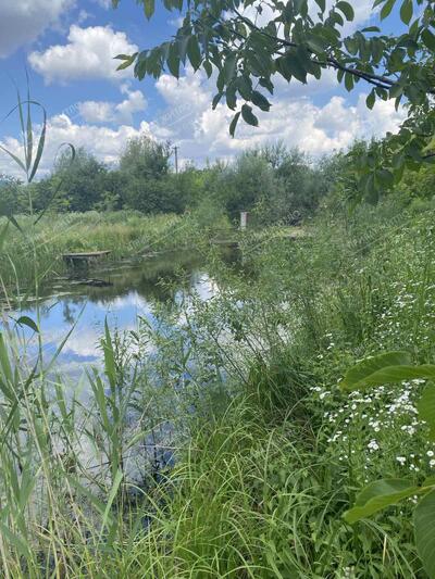 Ділянка з виходом дої водойми