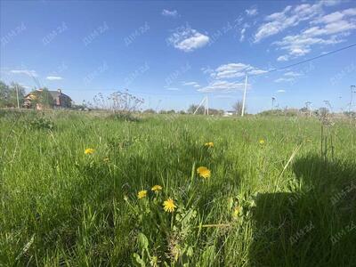 Ділянка в мальовничому місці в Рибцях.
