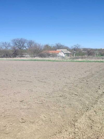 Земельна ділянка в Судіївці