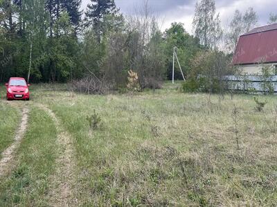 Ділянка в сосновому лісі!