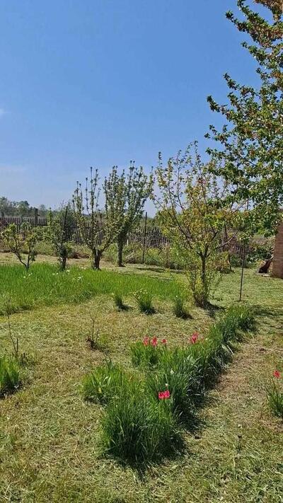 Дача по ціні ділянки!