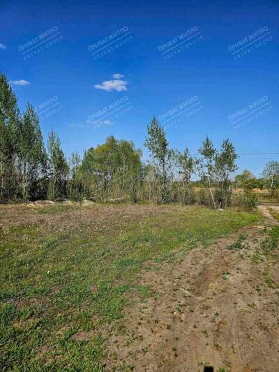 Продається земельна ділянка в Ліску