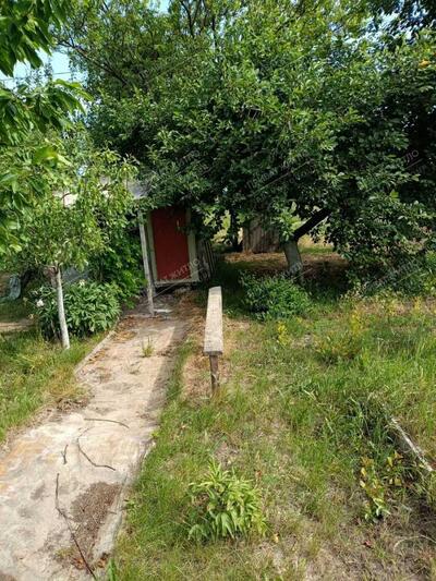 Продається земельна ділянка в с. Супрунівка, 15 соток.