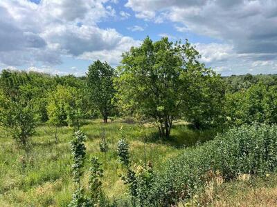 Продаж перспективної ділянки по вул. Шилівська