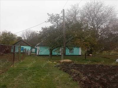 Окремий будинок в передмісті.