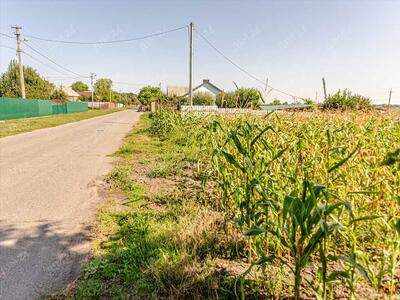 Земельна ділянка в Микильському!