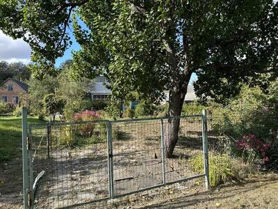 Петрівка. Дача в передмісті.