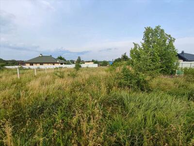 Земельна ділянка в Рибцях!