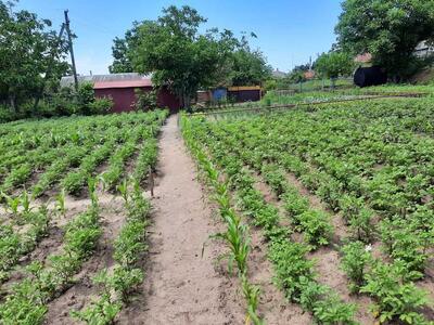 Доглянута земельна ділянка під забудову !