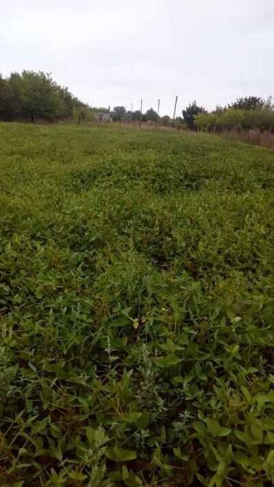 Ділянка в Жуках