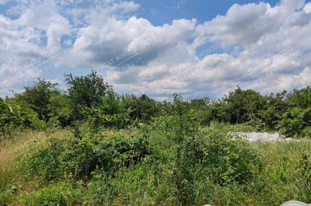 Земельна ділянка в Бричківці.