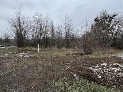 Продам ділянку по Київській трасі 43 соток у Супрунівці